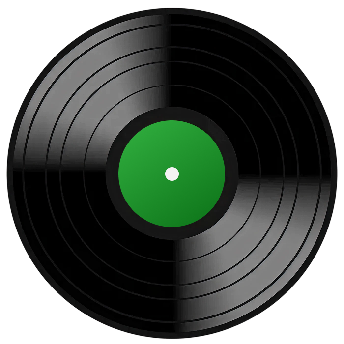 Vinyl record